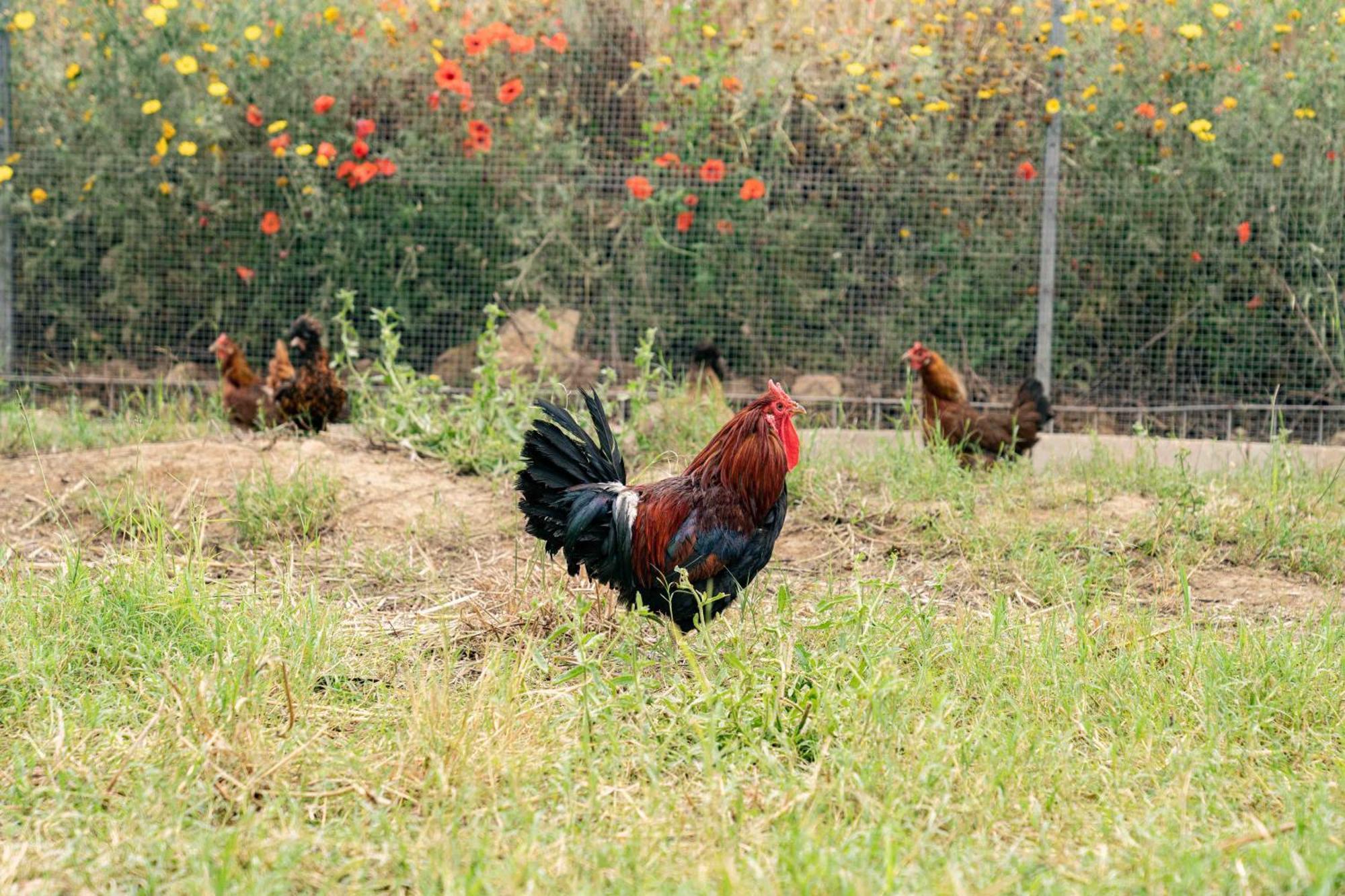 Judeka Agriresort กัลตาจีโรเน ภายนอก รูปภาพ